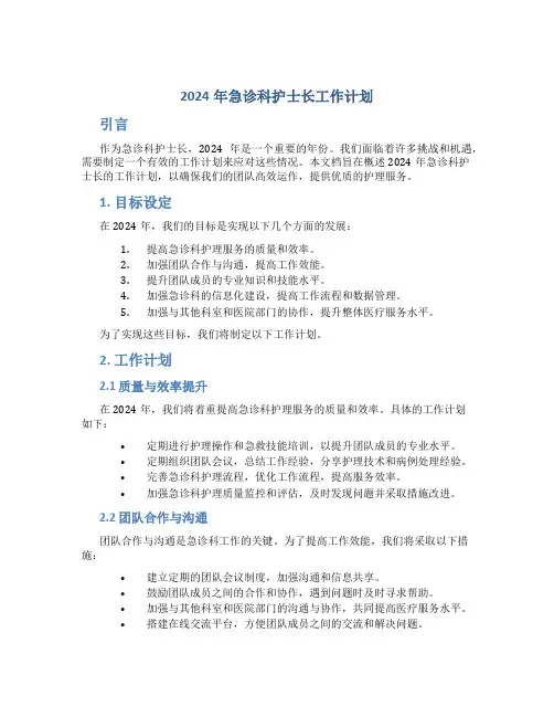 2024年急诊科护士长工作计划