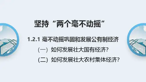 两个毫不动摇之毫不动摇巩固和发展公有制经济