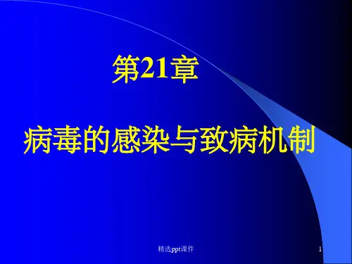 【教学课件】第21章_病毒的感染与致病机制
