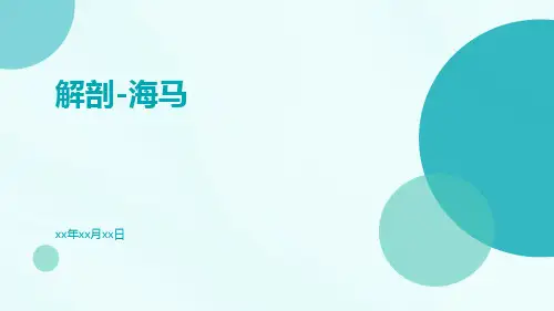 (医学课件)解剖-海马
