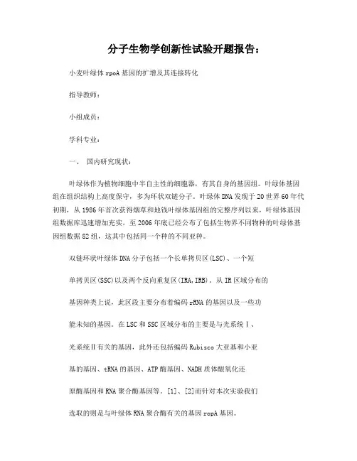 分子生物学创新性试验开题报告