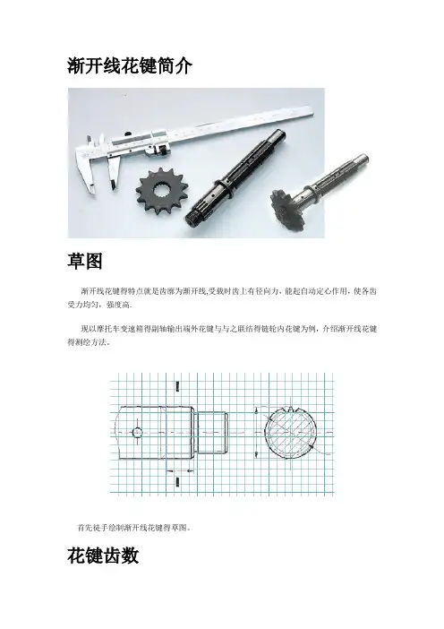 渐开线花键测绘