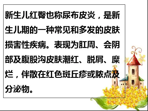 新生儿红臀护理ppt课件