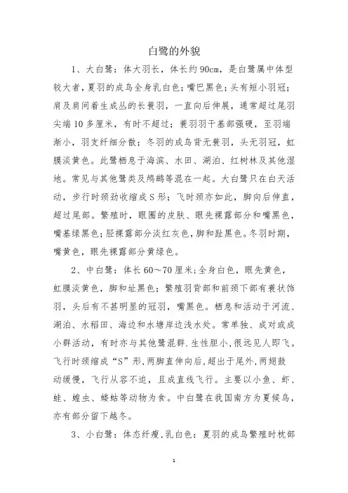 白鹭的外貌