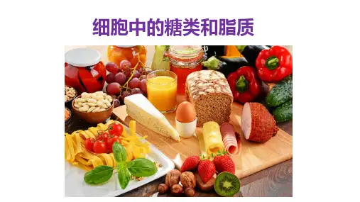 【课件】细胞中的糖类和脂质(2课时)课件-2022-2023学年高一生物人教版必修1