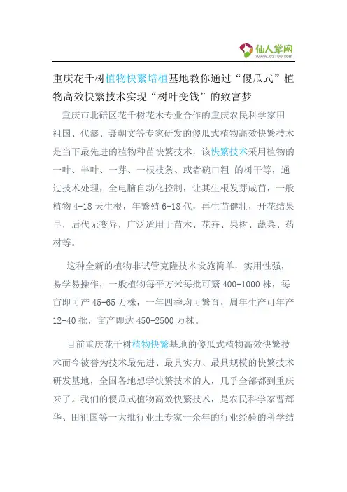 重庆花千树植物快繁培植基地教你通过“傻瓜式”植物高效快繁技术实现“树叶变钱”的致富梦