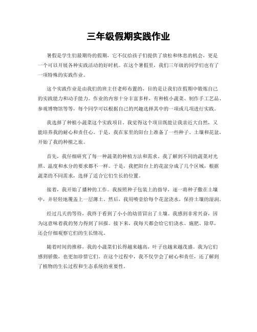 三年级假期实践作业