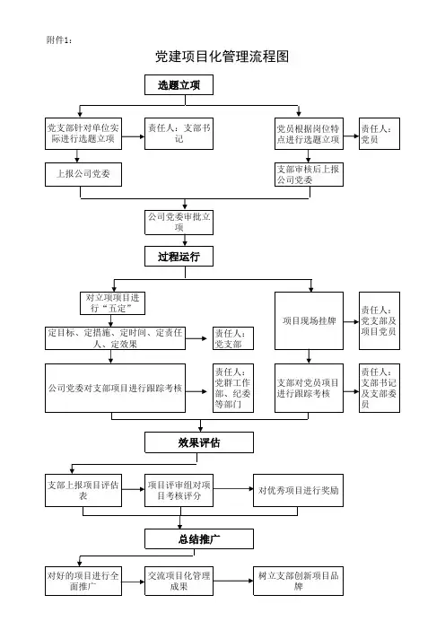 党建项目化管理流程图