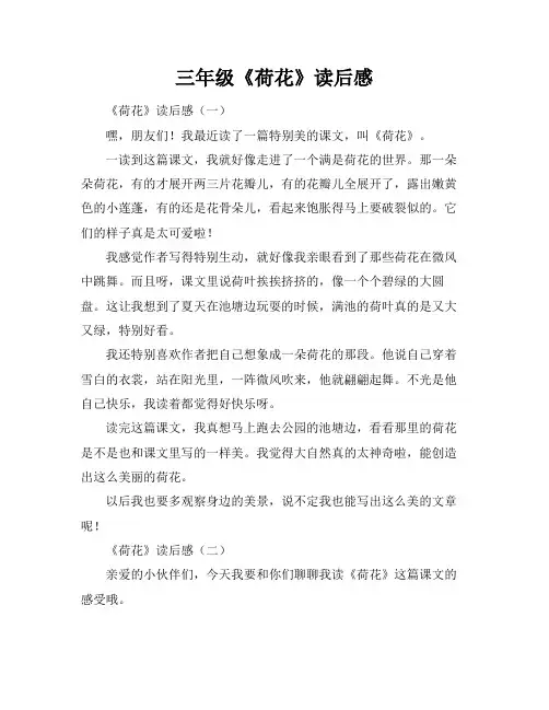 三年级《荷花》读后感