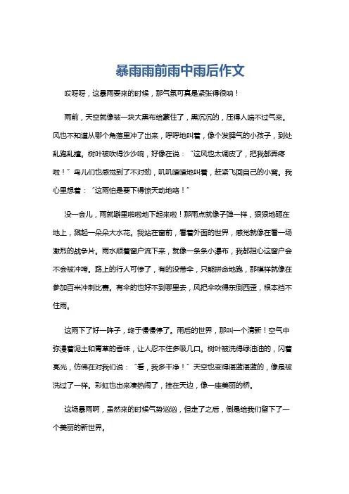 暴雨雨前雨中雨后作文