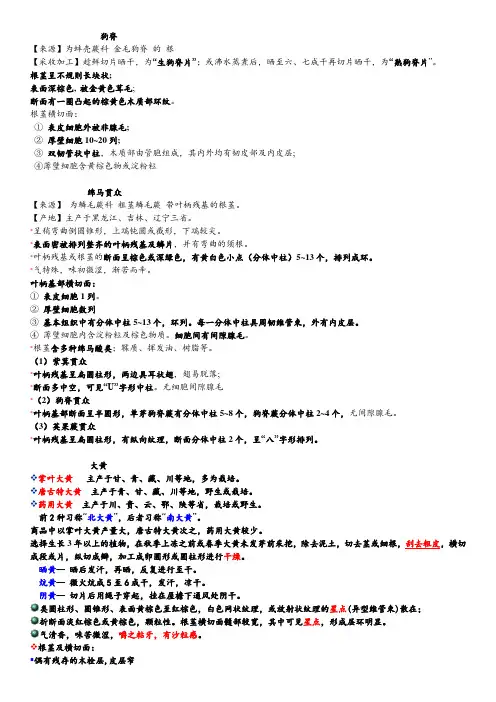 中药鉴定学------根及根茎类中药