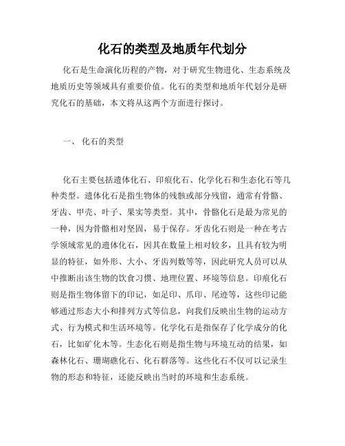 化石的类型及地质年代划分
