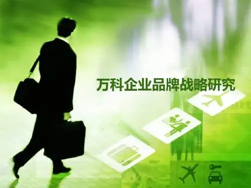 万科品牌战略