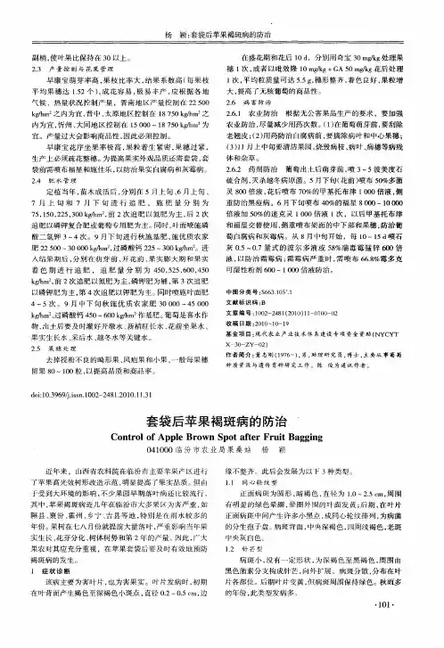 套袋后苹果褐斑病的防治