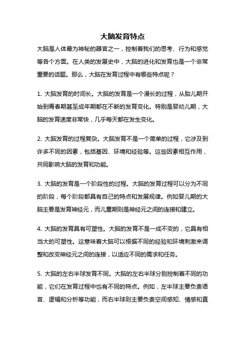 大脑发育特点