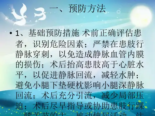 深静脉血栓的预防及处理课件