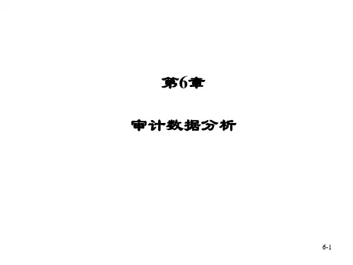 《计算机辅助审计原理及应用(第三版)》PPT第6章 审计数据分析