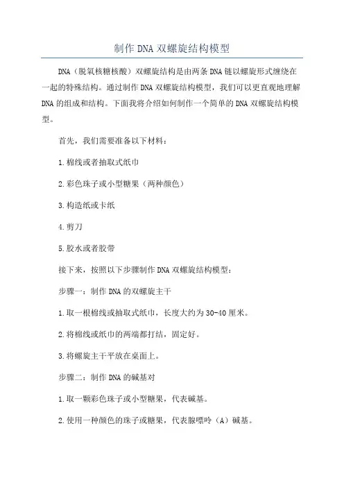 制作DNA双螺旋结构模型