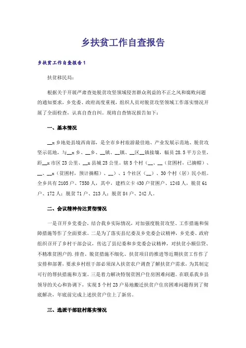 乡扶贫工作自查报告
