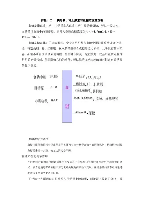 实验十二   胰岛素、肾上腺素对血糖浓度的影响