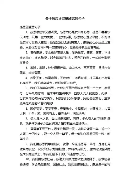 关于感恩正能量励志的句子