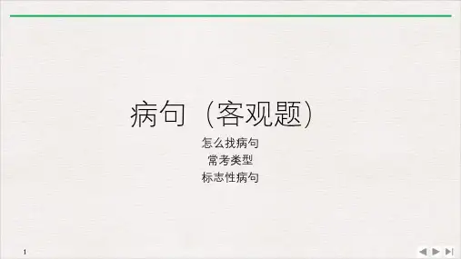 山东新高考语文高三复习：01语病 课件PPT