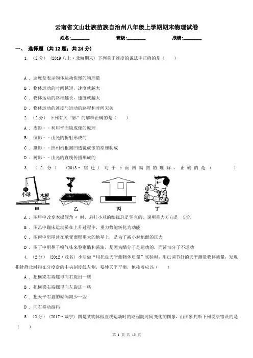 云南省文山壮族苗族自治州八年级上学期期末物理试卷