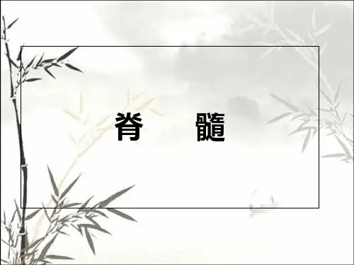 脊髓解剖与功能图ppt课件