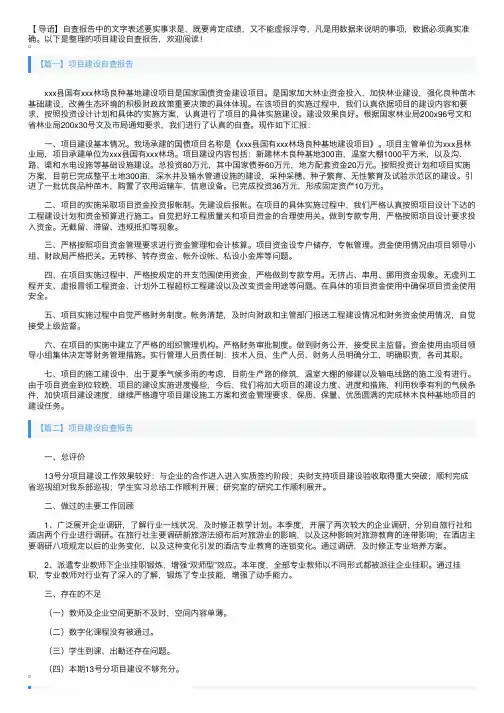 项目建设自查报告