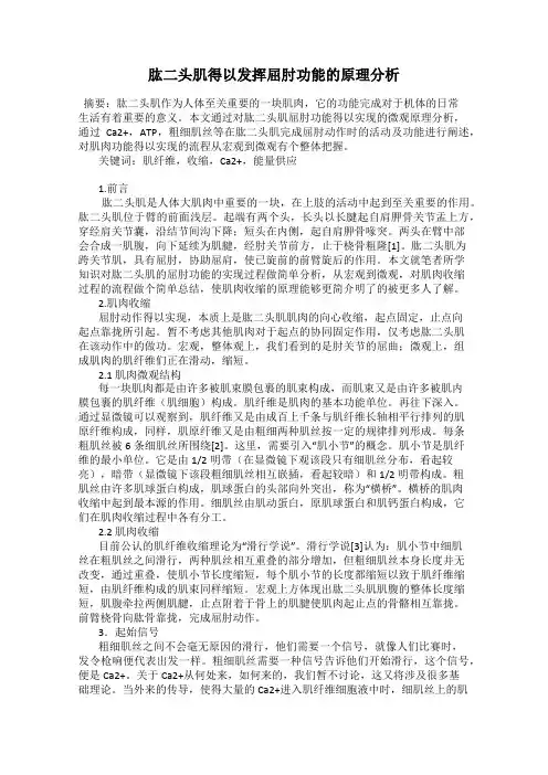 肱二头肌得以发挥屈肘功能的原理分析