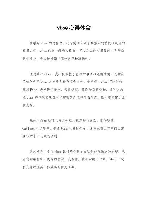 vbse心得体会