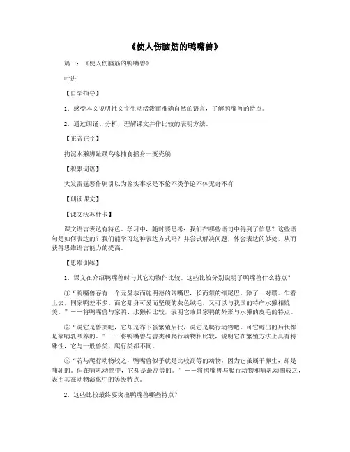 《使人伤脑筋的鸭嘴兽》