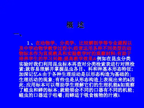 动物标本制作