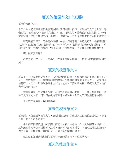 夏天的校园作文(十五篇)