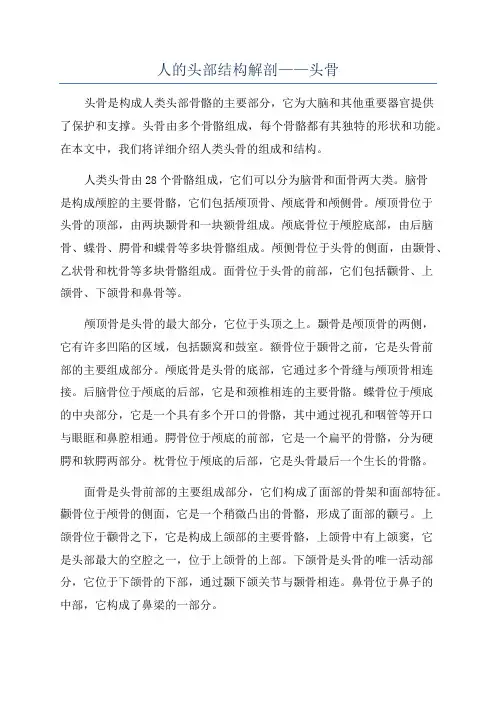 人的头部结构解剖——头骨