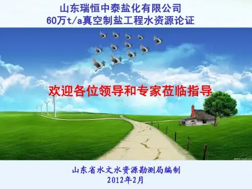 (新)制盐水资源论证