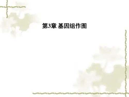 基因组学(第3)