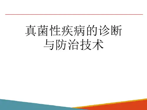 真菌性疾病的诊断与防治技术(水产动物疾病防治课件)