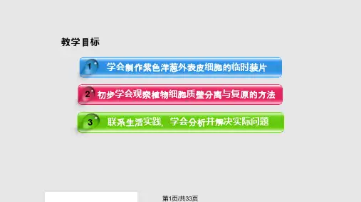 观察植物细胞质壁分离与复原实验PPT课件