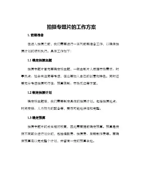 拍摄专题片的工作方案