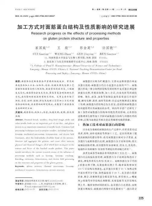 加工方式对面筋蛋白结构及性质影响的研究进展