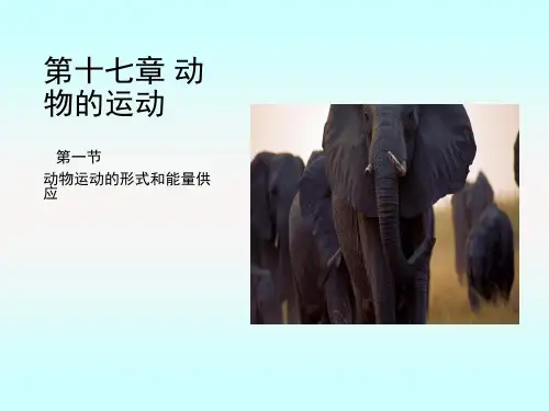 动物运动的形式和能量供应
