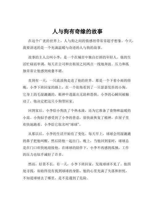 人与狗有奇缘的故事