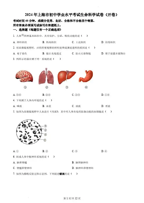 2024年上海市中考生命科学试题