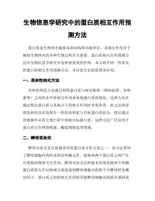 生物信息学研究中的蛋白质相互作用预测方法
