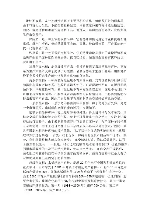 水稻杂交育种