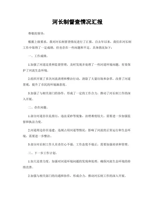 河长制督查情况汇报