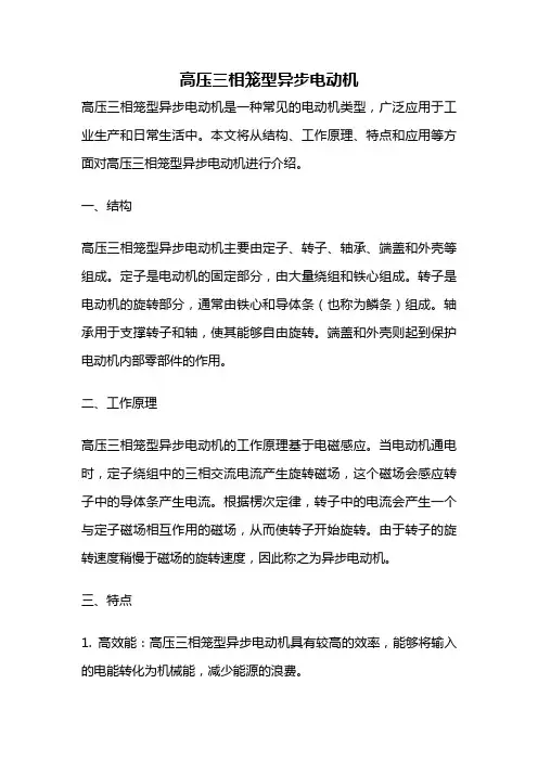 高压三相笼型异步电动机