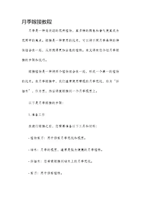 月季嫁接教程