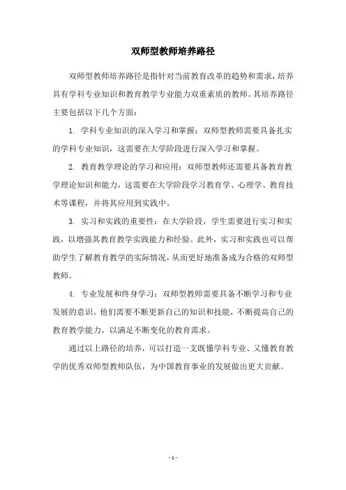 双师型教师培养路径
